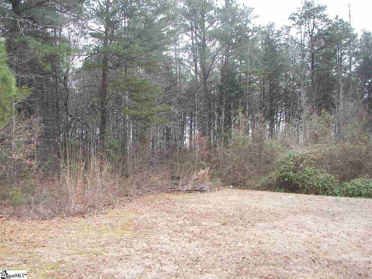145 Autumnvale Drive Inman, SC 29349 - Photo 16 of 16 Gallery Image 16