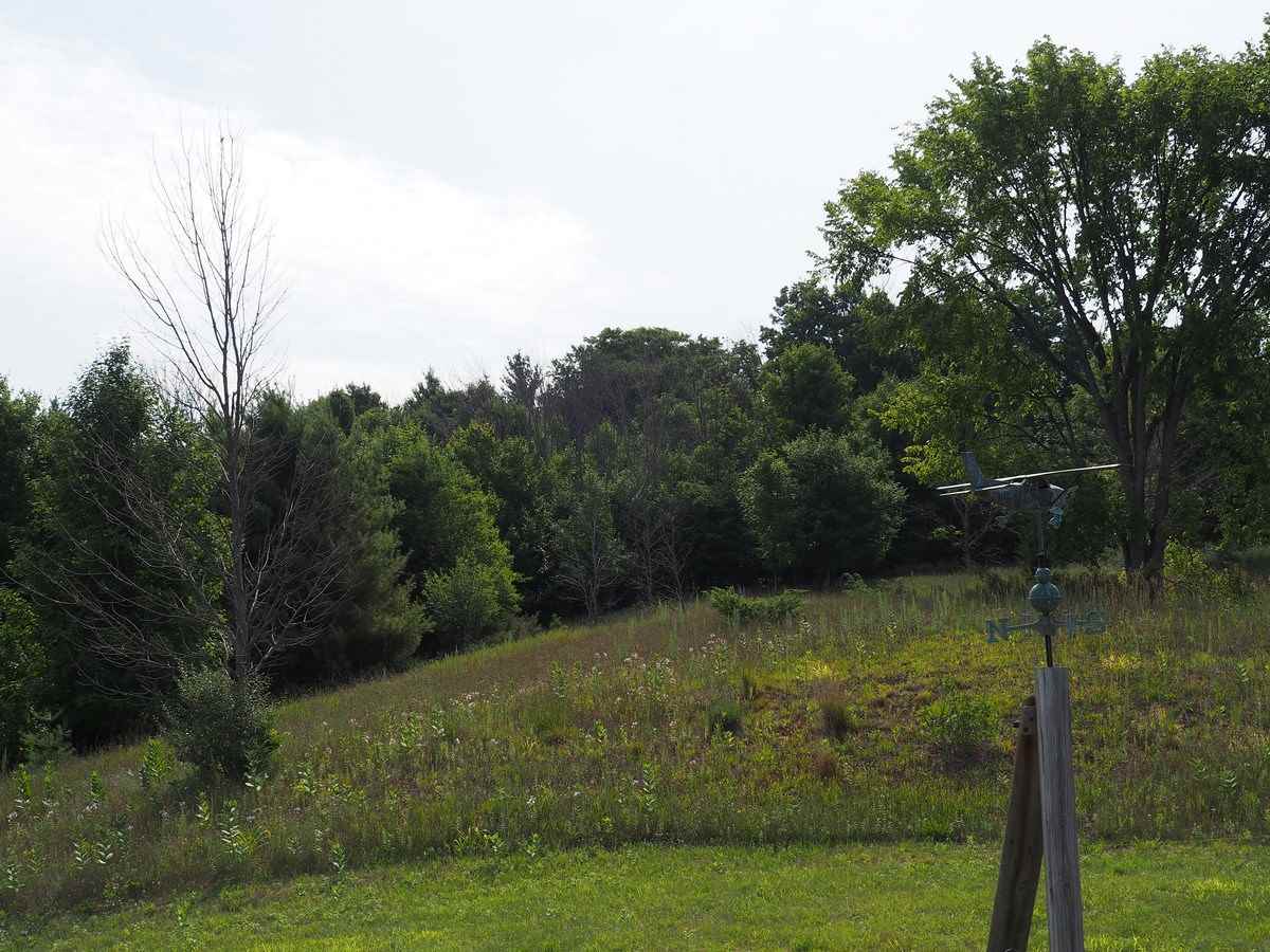 3349 Grace Road Frankfort, MI 49635 - Photo 34 of 45 1851840-33.JPG