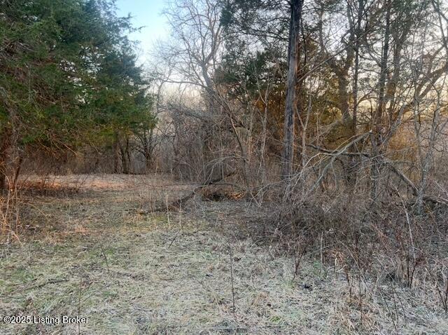 1180 C Pattons Creek Road Pendleton, KY 40055 - Photo 16 of 20 image004