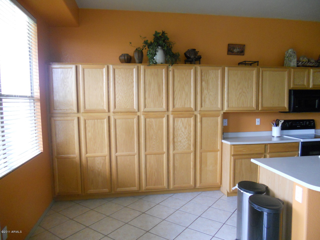 3847 East Cody Avenue Gilbert, AZ 85234 - Photo 14 of 26 Look at all the Storage in the Kitchen!!