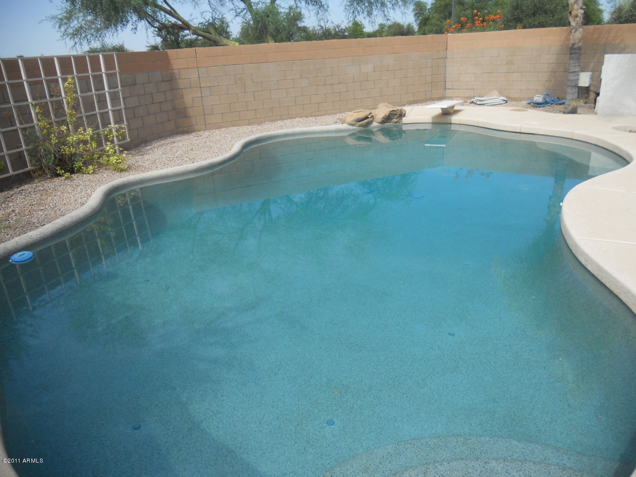 3847 East Cody Avenue Gilbert, AZ 85234 - Photo 19 of 26 Truly a Crystal Blue Pool!