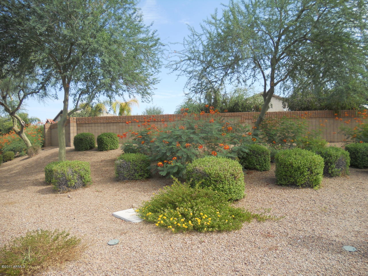 3847 East Cody Avenue Gilbert, AZ 85234 - Photo 6 of 26 Home backs up to this beautiful border