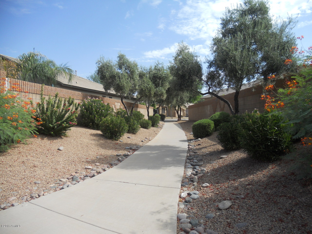 3847 East Cody Avenue Gilbert, AZ 85234 - Photo 8 of 26 Pathway between homes