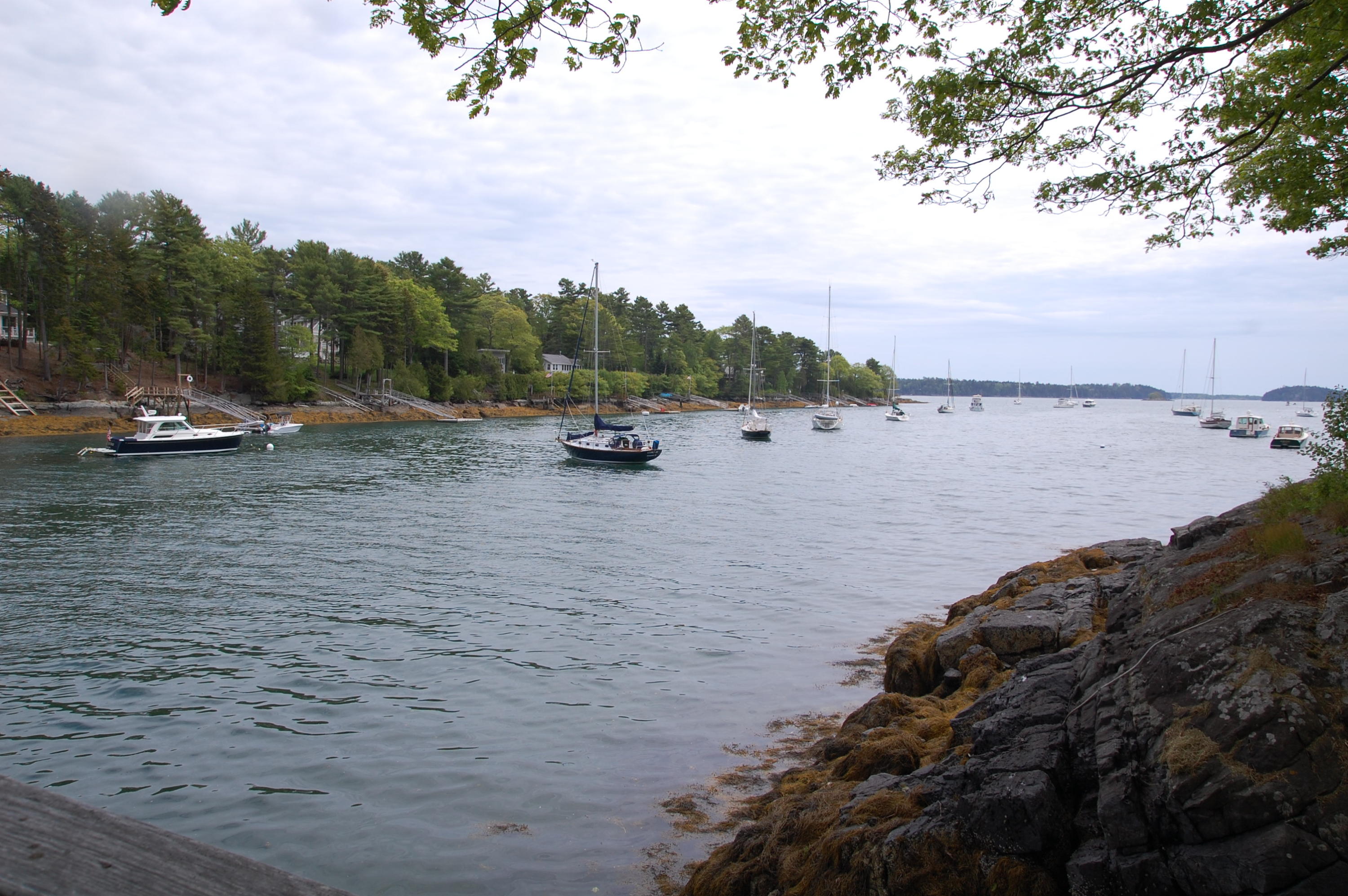 451 Harpswell Islands Road Harpswell, ME 04079 - Photo 34 of 55 2020-06-01 06.45.09