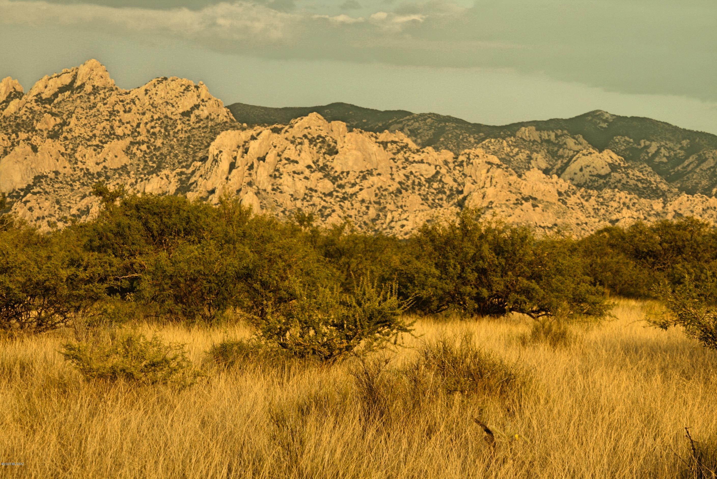 Lot 16 North Dragoon Ranch Rd Street, Unit 16 St. David, AZ 85630 - Photo 13 of 25