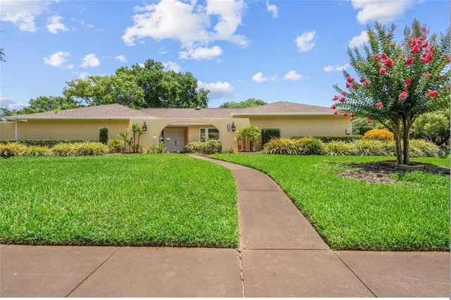 a view of yard with outdoor and green space