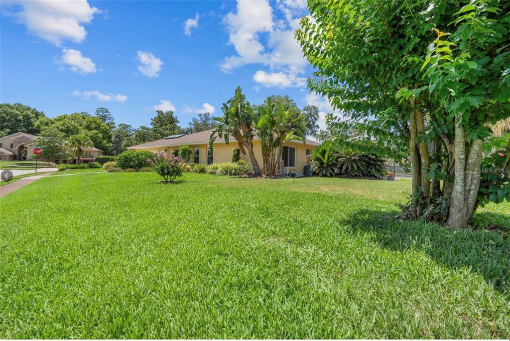 1255 Wisper Run Court Lutz, FL 33558 - Photo 24 of 25 a view of house with garden