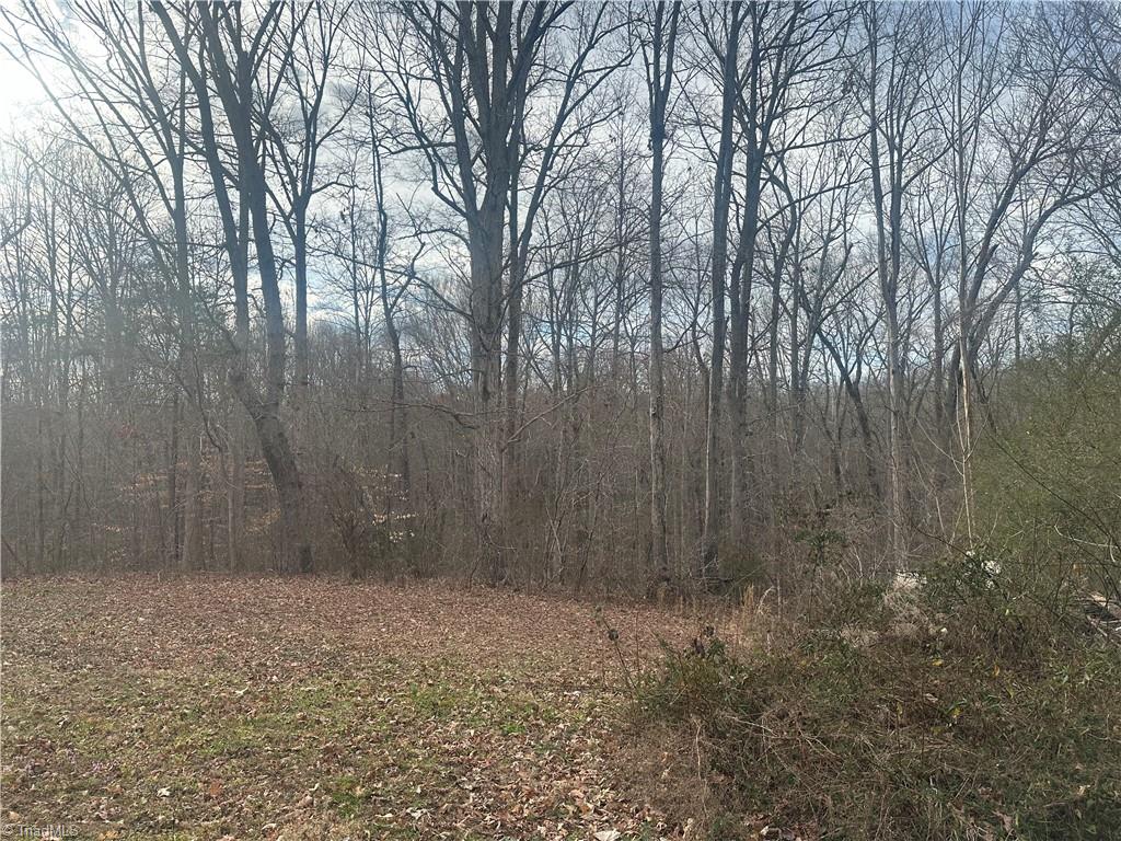 0 Swicegood Road Linwood, NC 27299 - Photo 1 of 10 Gallery Image 1