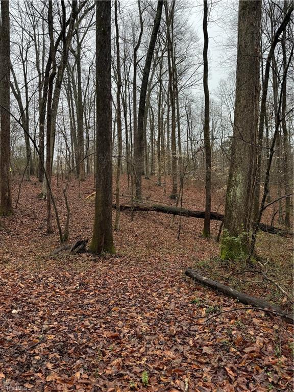 0 Swicegood Road Linwood, NC 27299 - Photo 5 of 10 Gallery Image 5