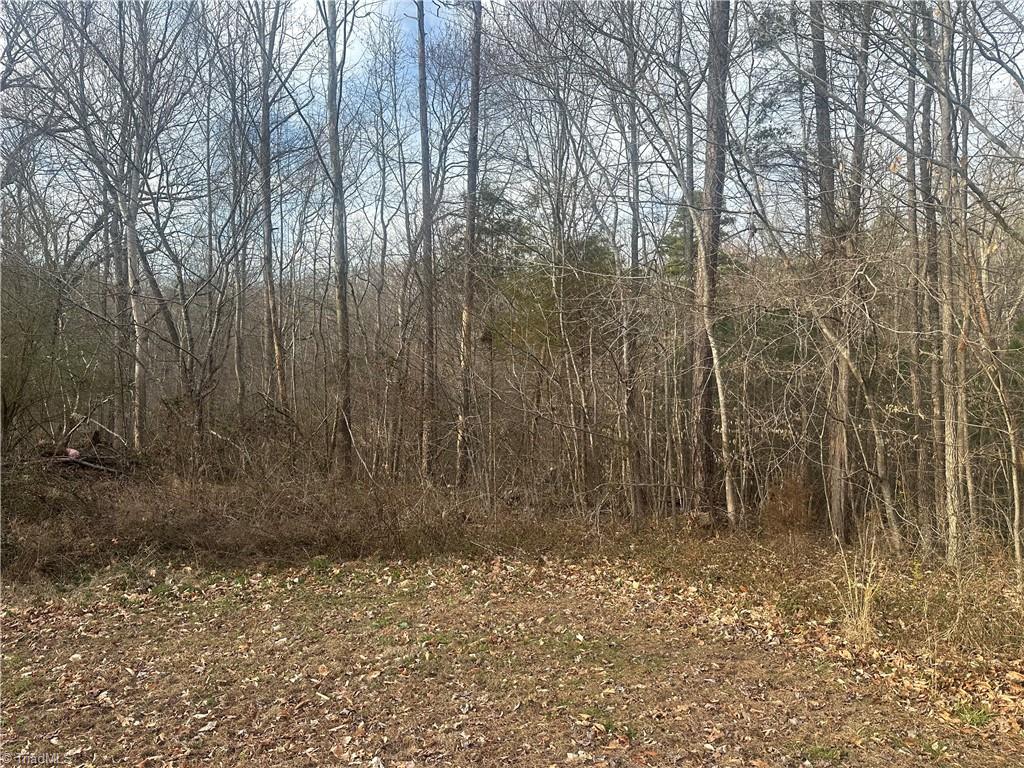 0 Swicegood Road Linwood, NC 27299 - Photo 6 of 10 Gallery Image 6