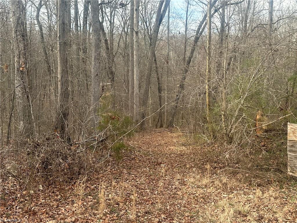 0 Swicegood Road Linwood, NC 27299 - Photo 7 of 10 Gallery Image 7