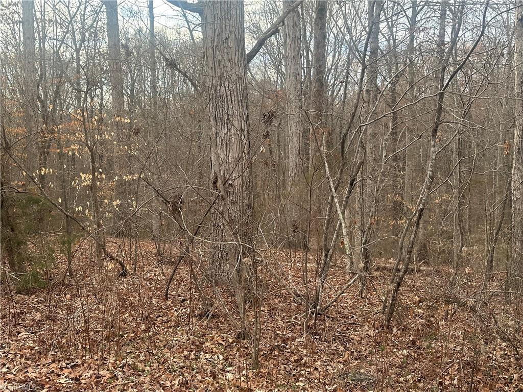 0 Swicegood Road Linwood, NC 27299 - Photo 8 of 10 Gallery Image 8