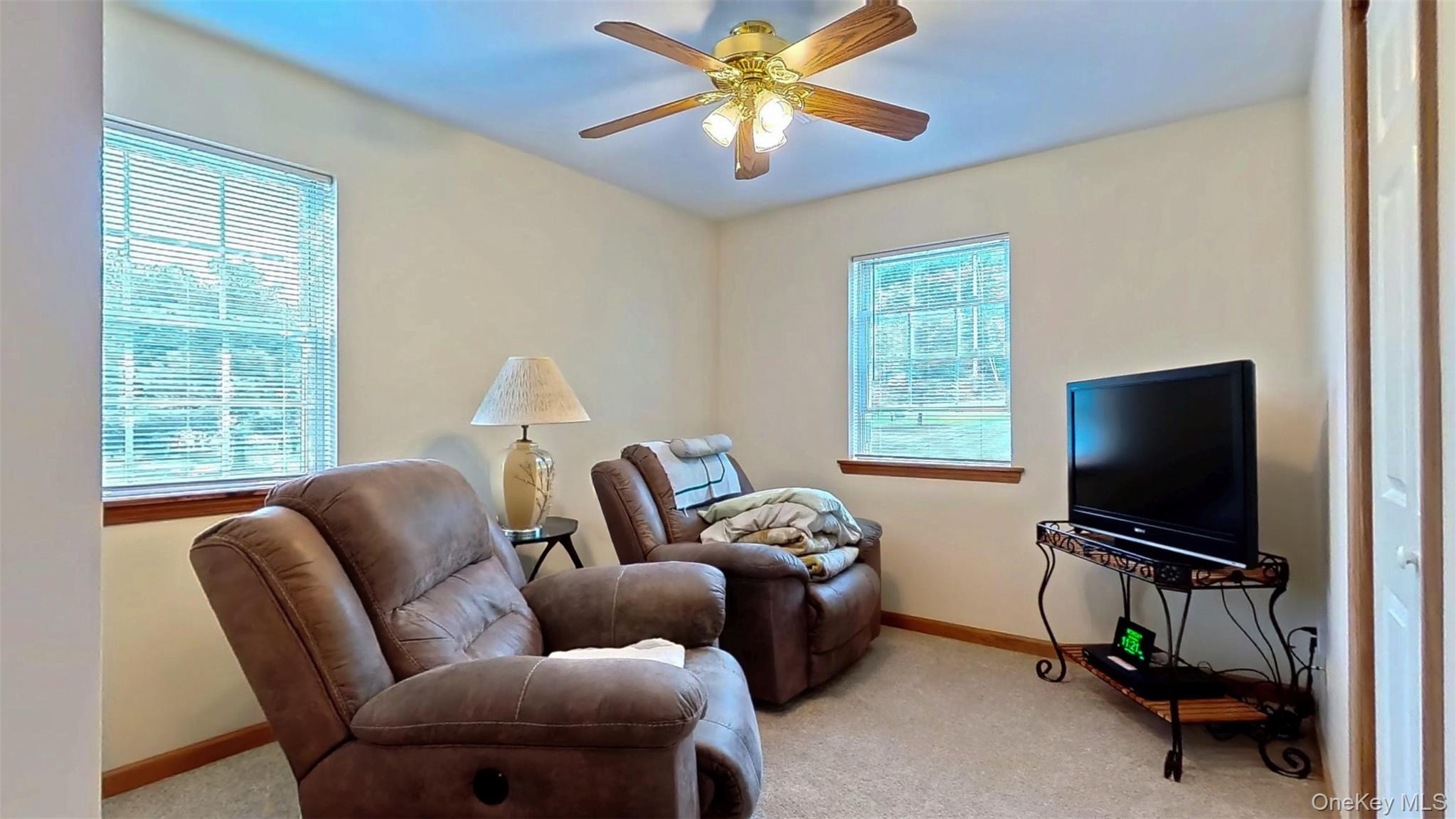 125 White Bridge Road Middletown, NY 10940 - Photo 29 of 43 Living area featuring carpet flooring and ceiling fan
