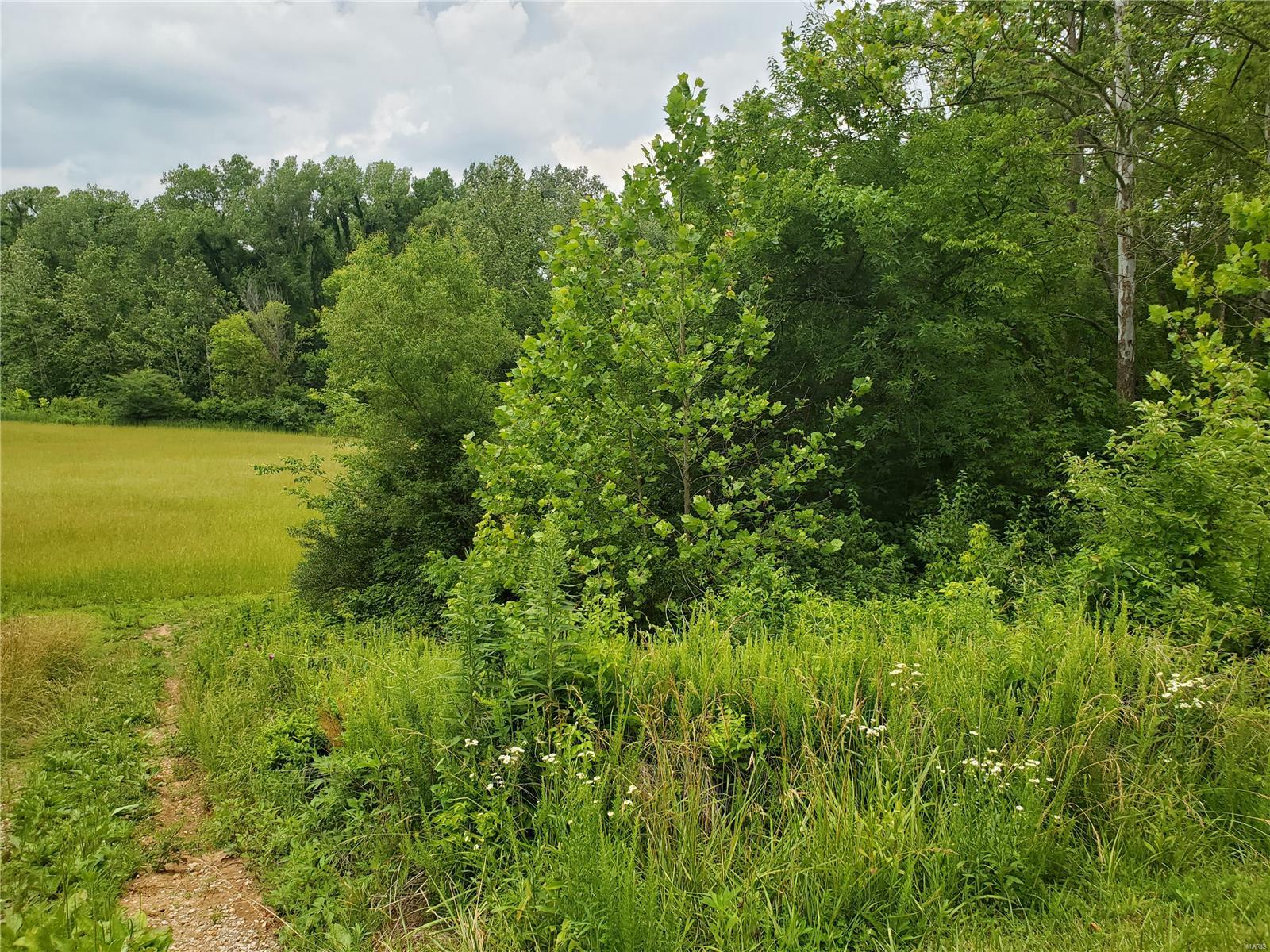 8095 Lost Bridge Road Bethalto, IL 62010 - Photo 5 of 5
