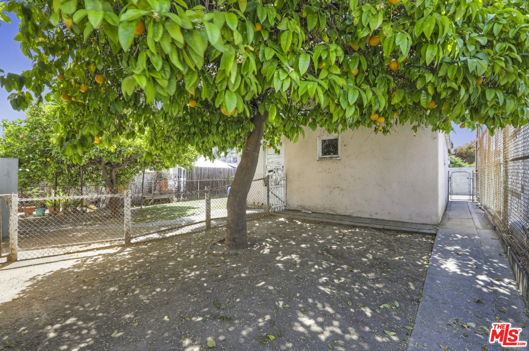 4053 Verdugo Road Los Angeles, CA 90065 - Photo 43 of 45 a backyard of a house with lots of green space
