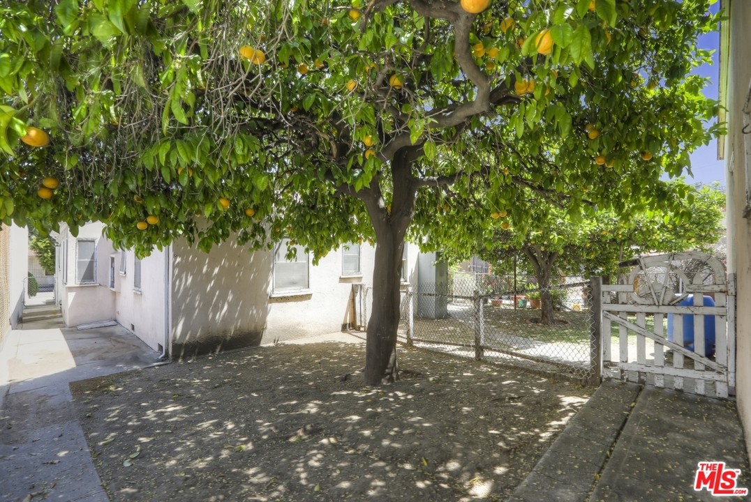 4053 Verdugo Road Los Angeles, CA 90065 - Photo 44 of 45 a view of a outdoor space
