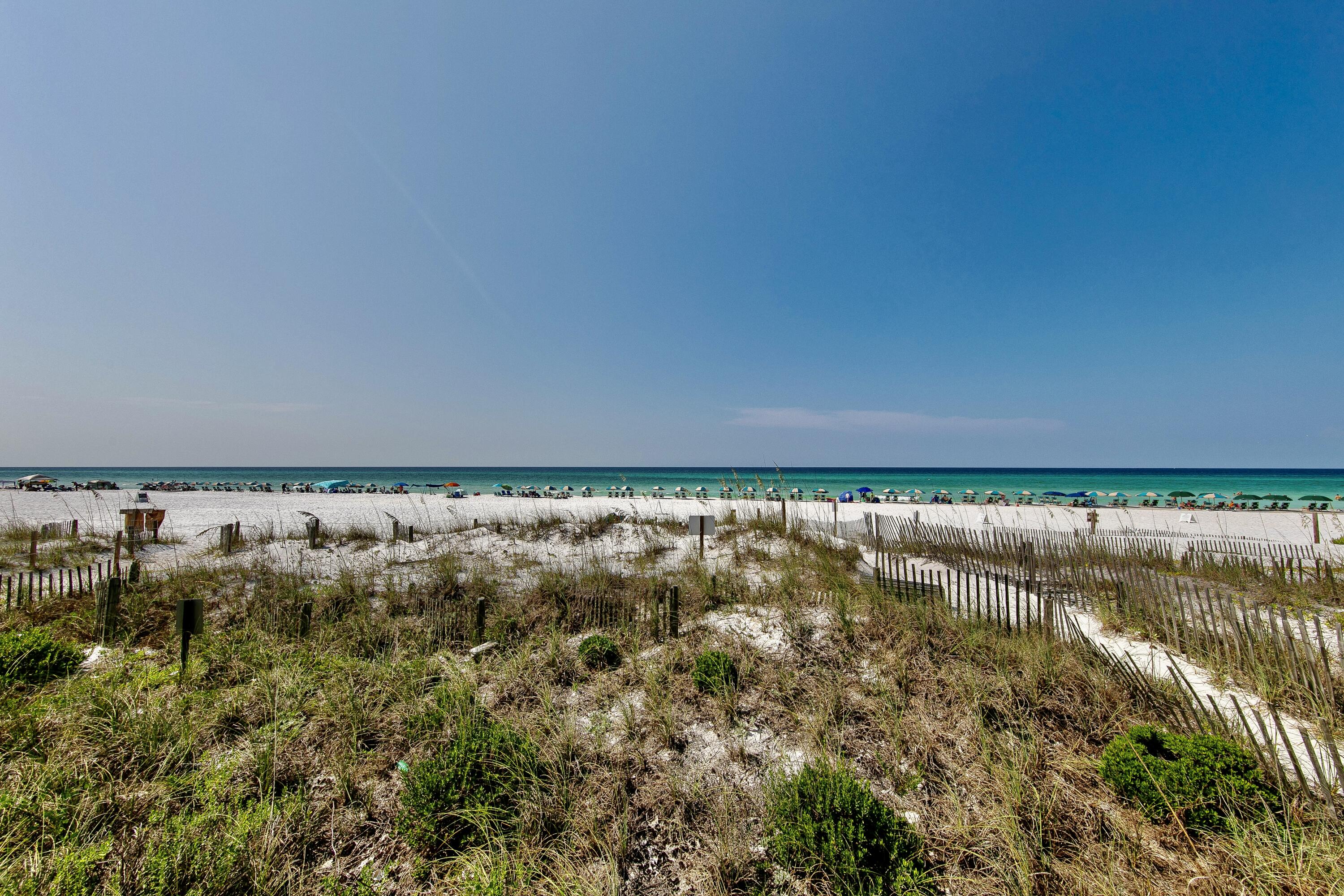 595 Eastern Lake Road, Unit 103 Santa Rosa Beach, FL 32459 - Photo 6 of 30 a view of lot of trees and lake