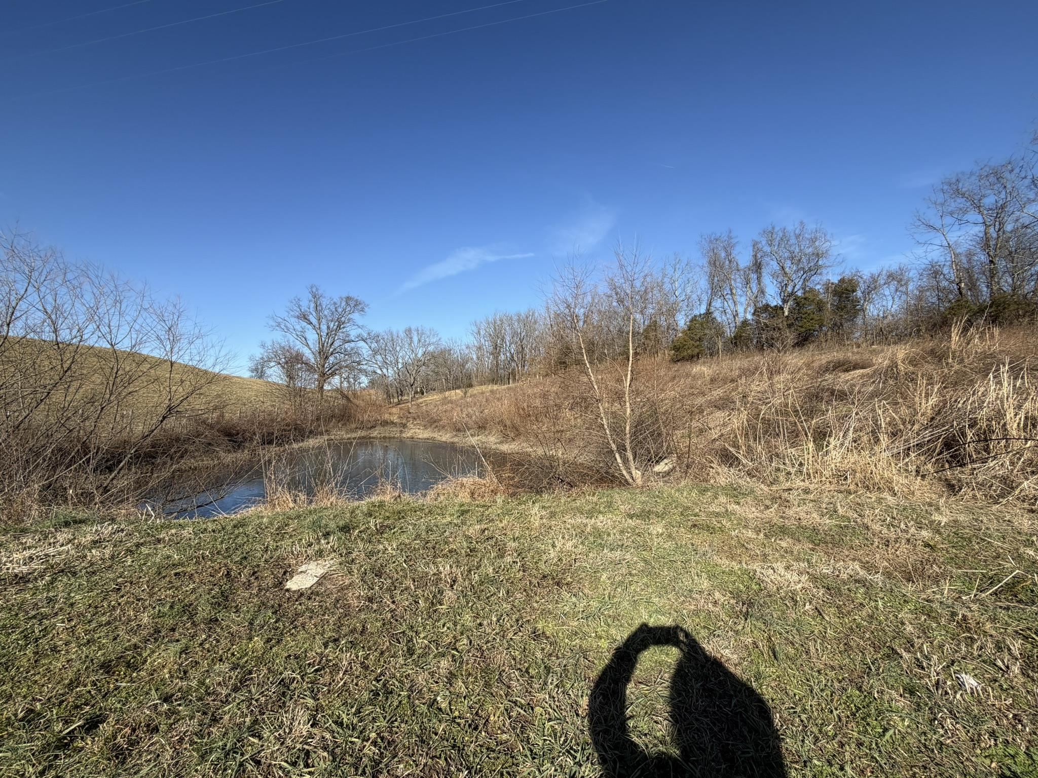 4983 Donaldson Road Mount Sterling, KY 40353 - Photo 10 of 14