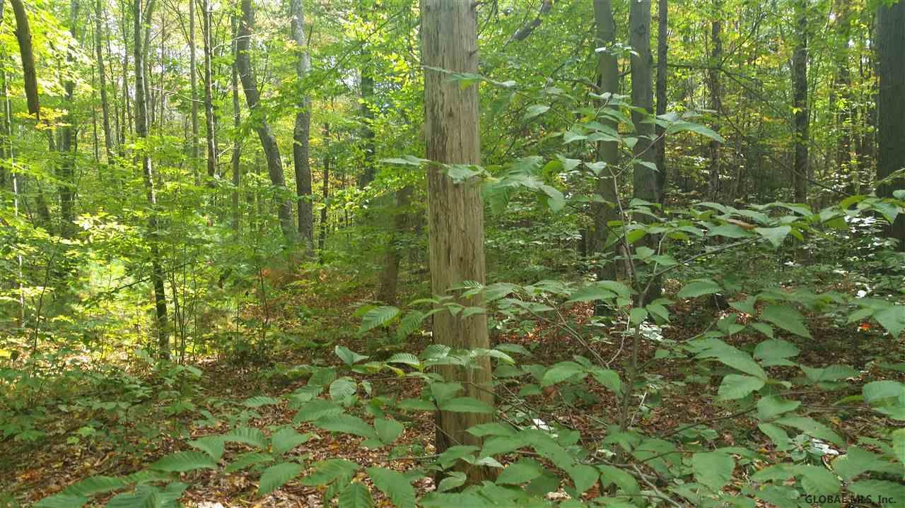 934 Locust Grove Road Greenfield, NY 12833 - Photo 2 of 5 Photo 2
