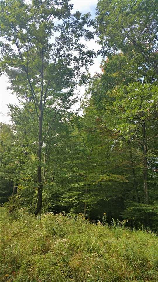 934 Locust Grove Road Greenfield, NY 12833 - Photo 3 of 5 Photo 3