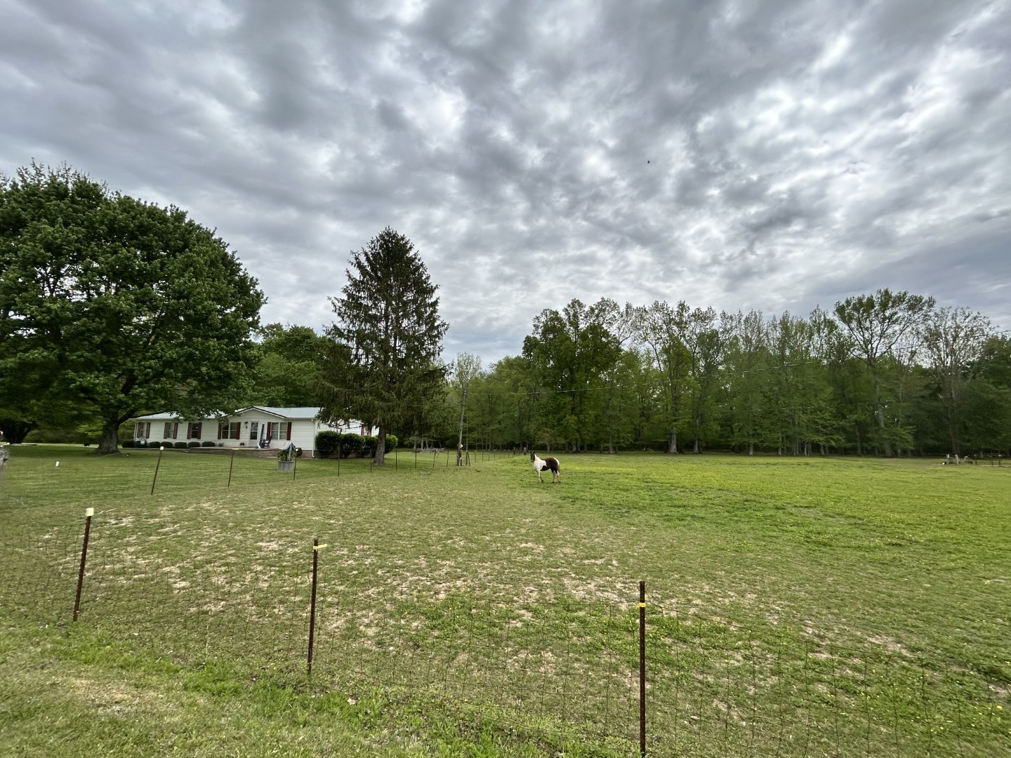 1575 Taylor Road Manchester, TN 37355 - Photo 25 of 28 a view of a golf course with an outdoor space