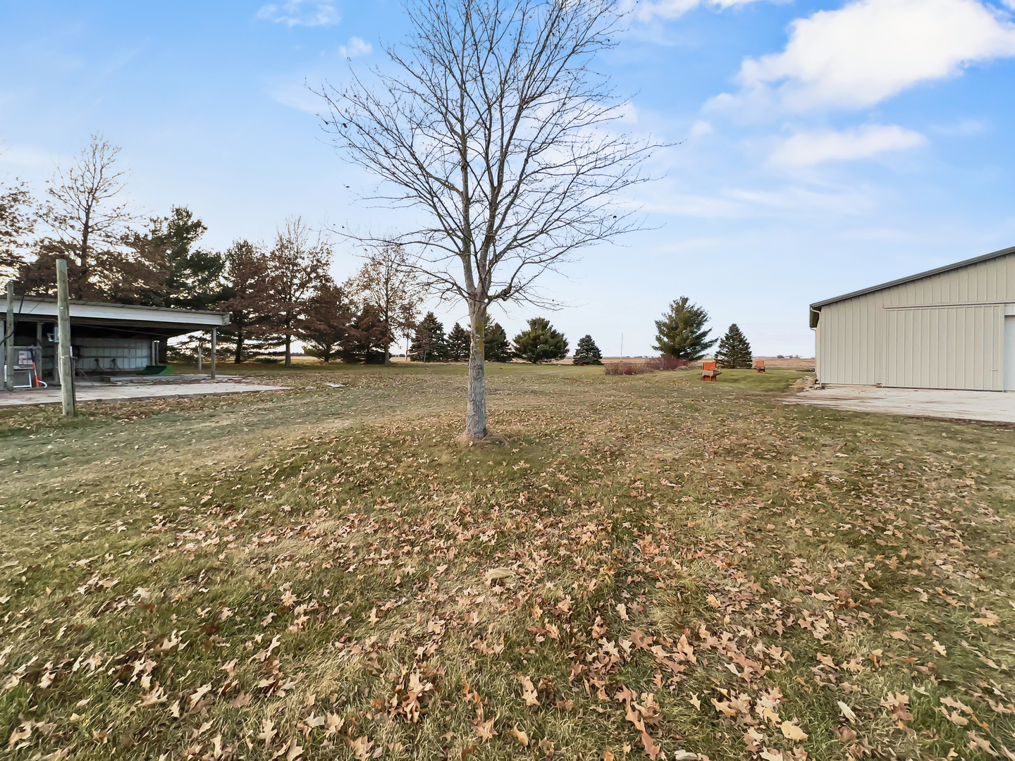 2604 East 1100 North Road Milford, IL 60953 - Photo 33 of 44 a view of a yard with an trees