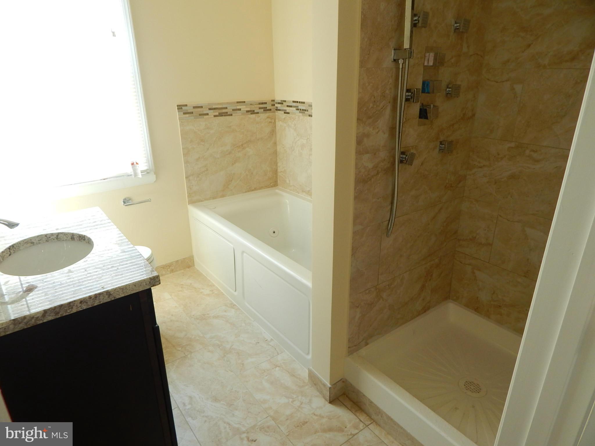 5618 Clearspring Road Baltimore, MD 21212 - Photo 18 of 30 a bathroom with a granite countertop sink a mirror and shower
