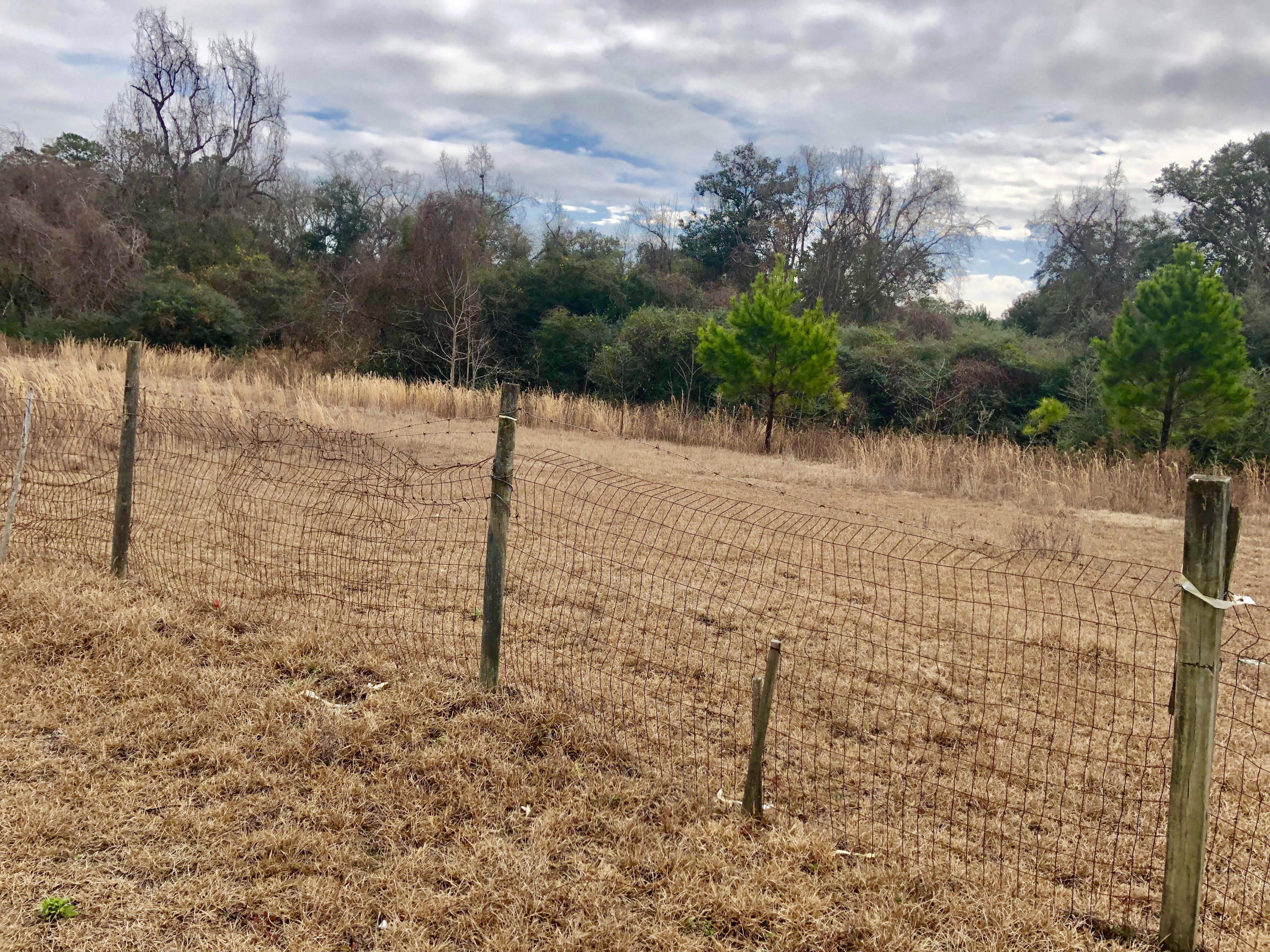 0 Joe Wright Road Johns Island, SC 29455 - Photo 2 of 7 Fenced pasture for horses & livestock