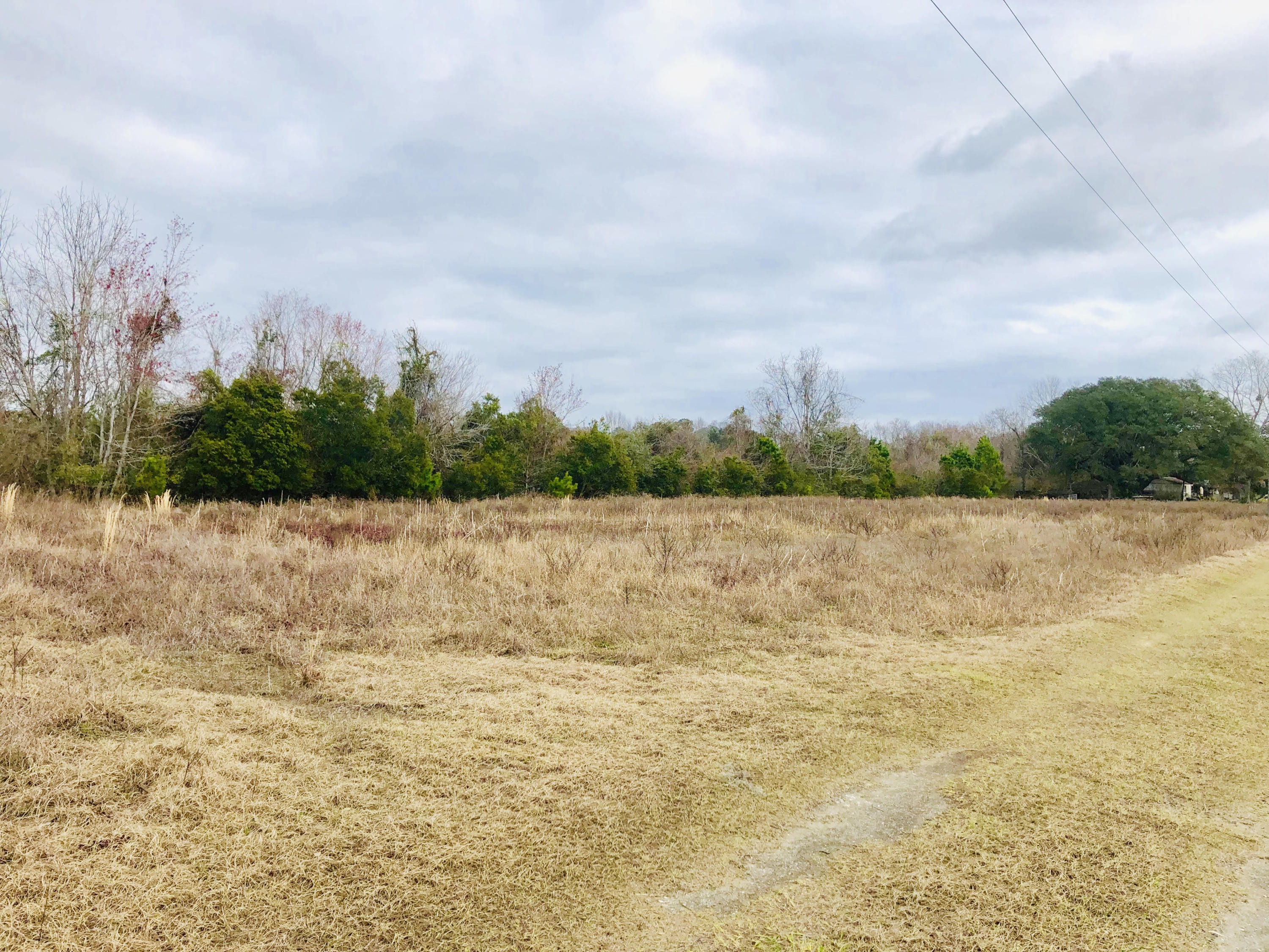 0 Joe Wright Road Johns Island, SC 29455 - Photo 4 of 7 Cleared and level