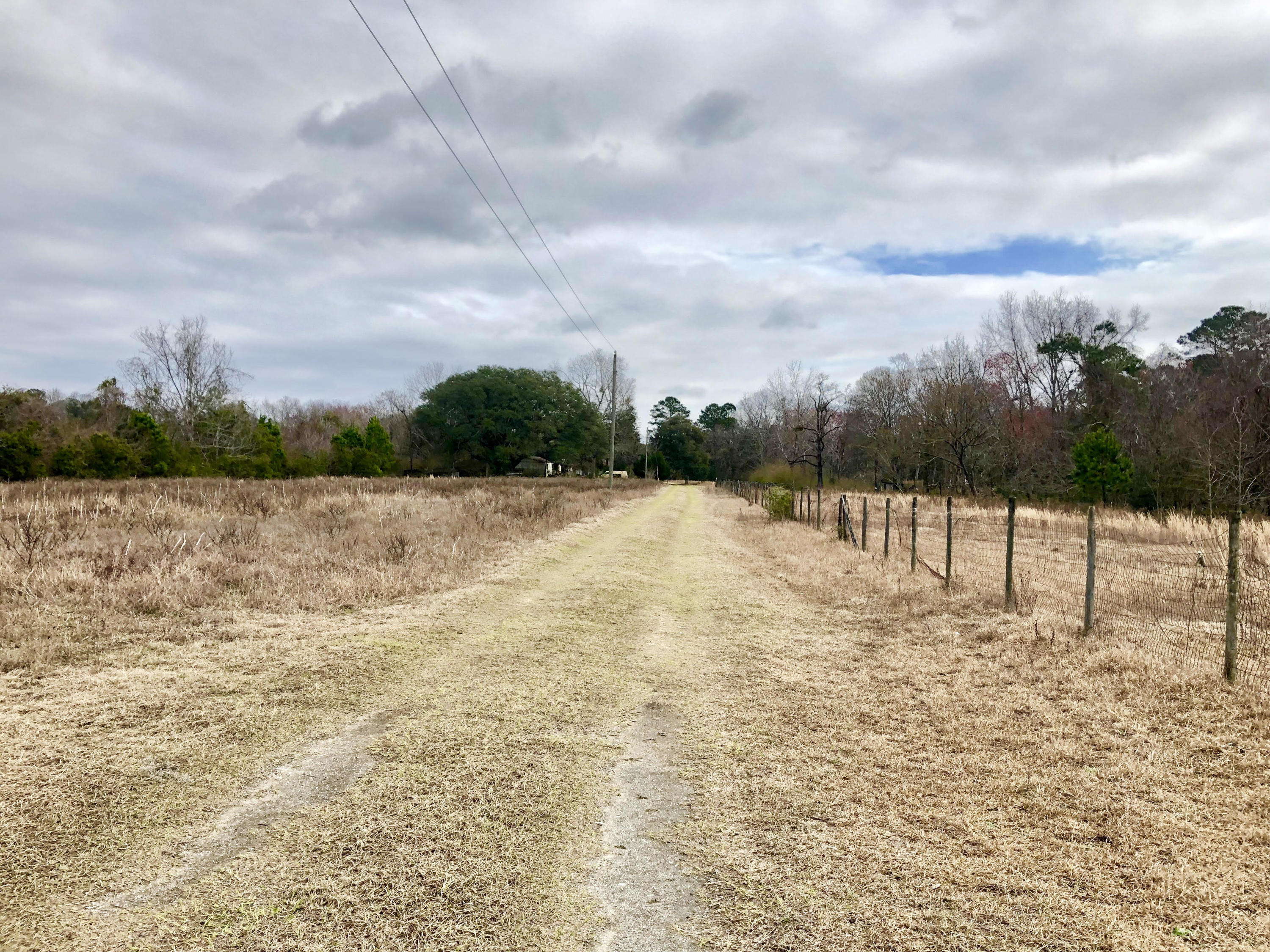 0 Joe Wright Road Johns Island, SC 29455 - Photo 5 of 7 Fenced in area of acerage