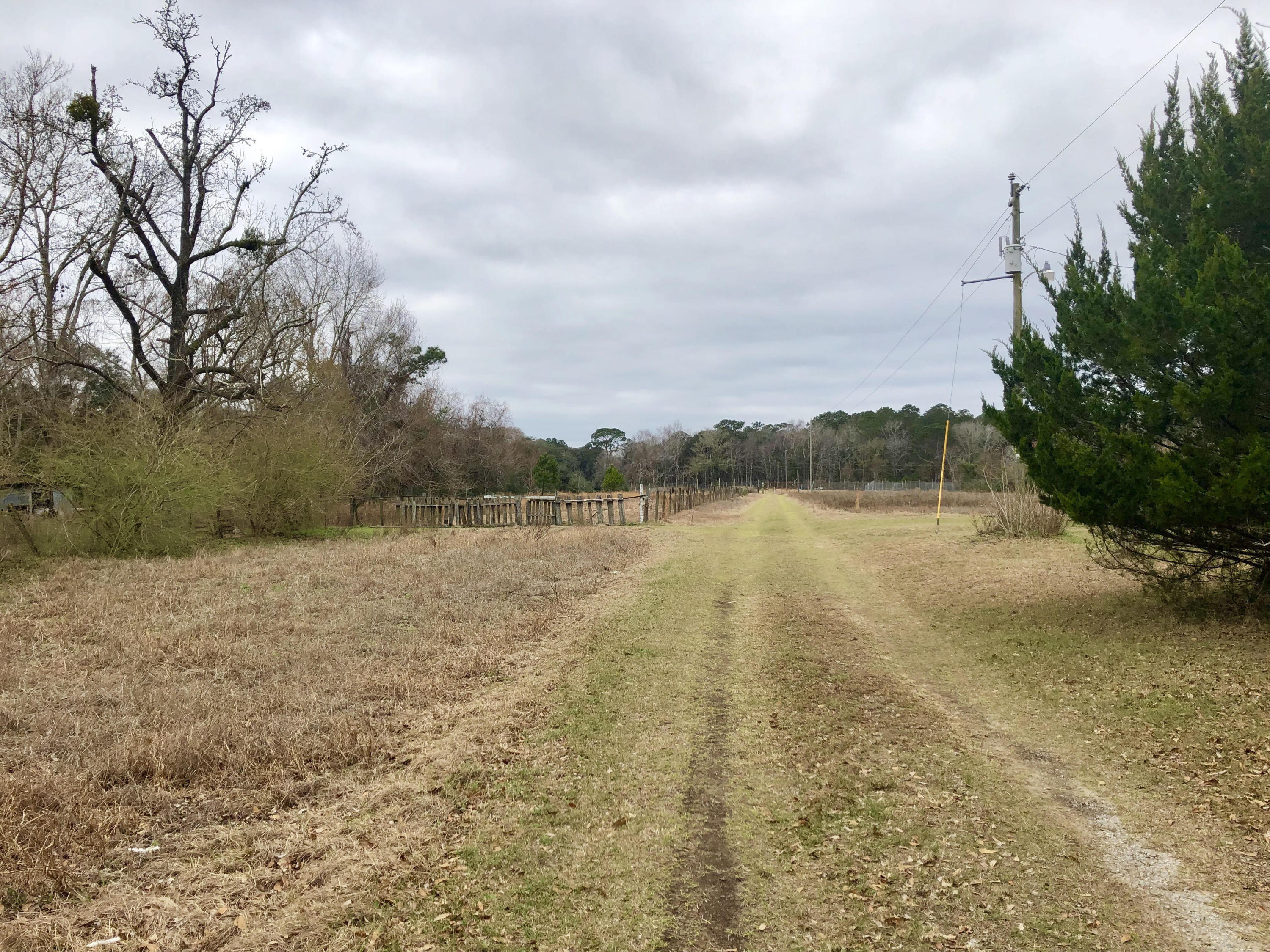 0 Joe Wright Road Johns Island, SC 29455 - Photo 6 of 7 Entrance to property