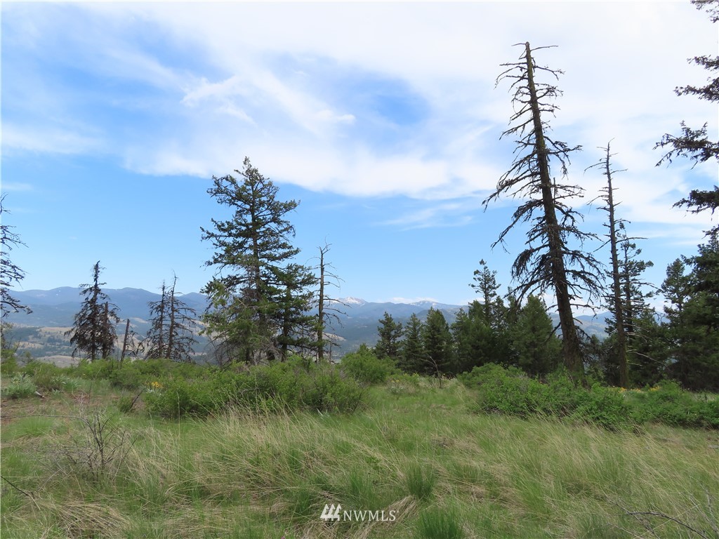 -tbd Tbd Stacy Road Republic, WA 99166 - Photo 2 of 33 a backyard of a house with lots of green space