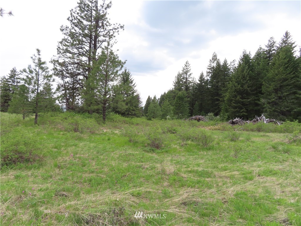 -tbd Tbd Stacy Road Republic, WA 99166 - Photo 11 of 33 a view of outdoor space with green field and trees all around