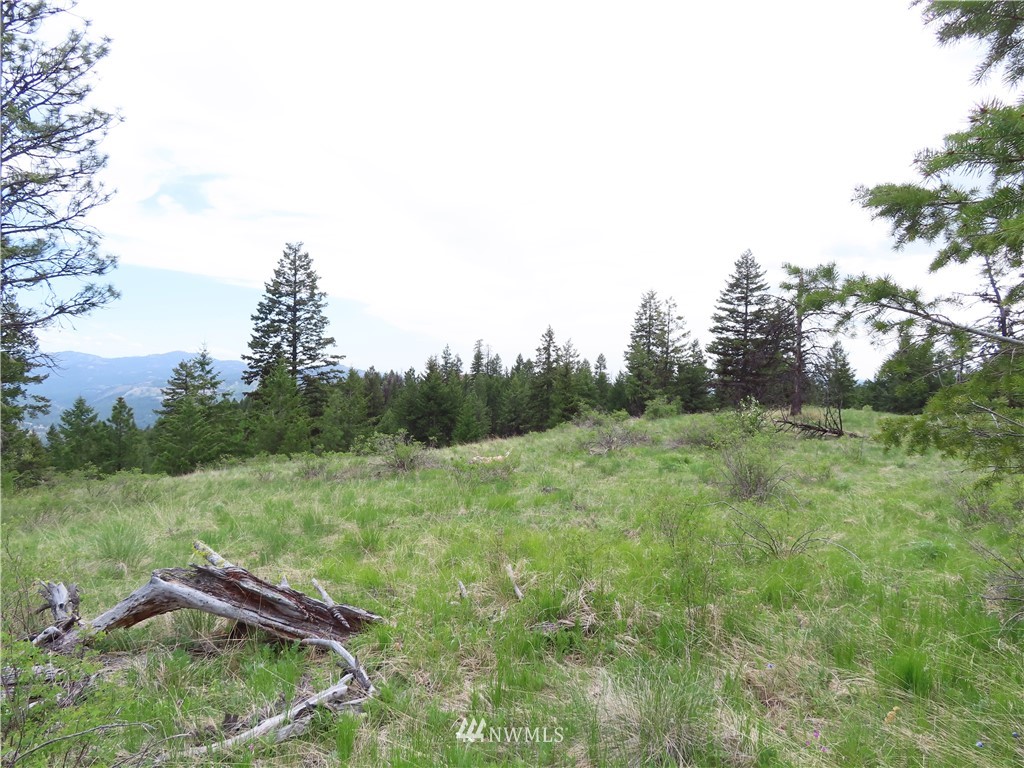 -tbd Tbd Stacy Road Republic, WA 99166 - Photo 12 of 33 a view of a lush green field