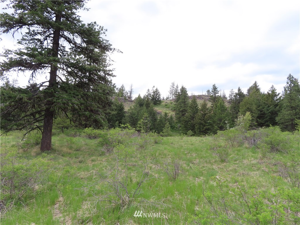 -tbd Tbd Stacy Road Republic, WA 99166 - Photo 14 of 33 a view of an outdoor space with a lake view