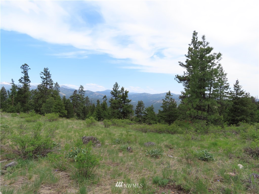 -tbd Tbd Stacy Road Republic, WA 99166 - Photo 15 of 33 a view of a big yard with large trees