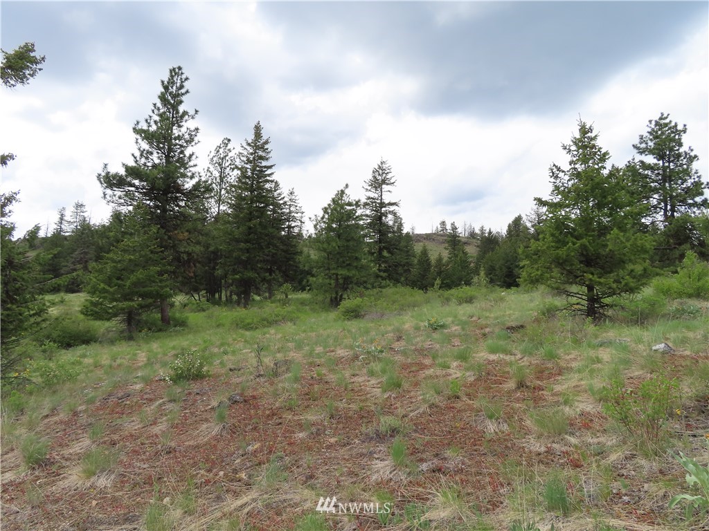 -tbd Tbd Stacy Road Republic, WA 99166 - Photo 16 of 33 a view of a field with trees in the background