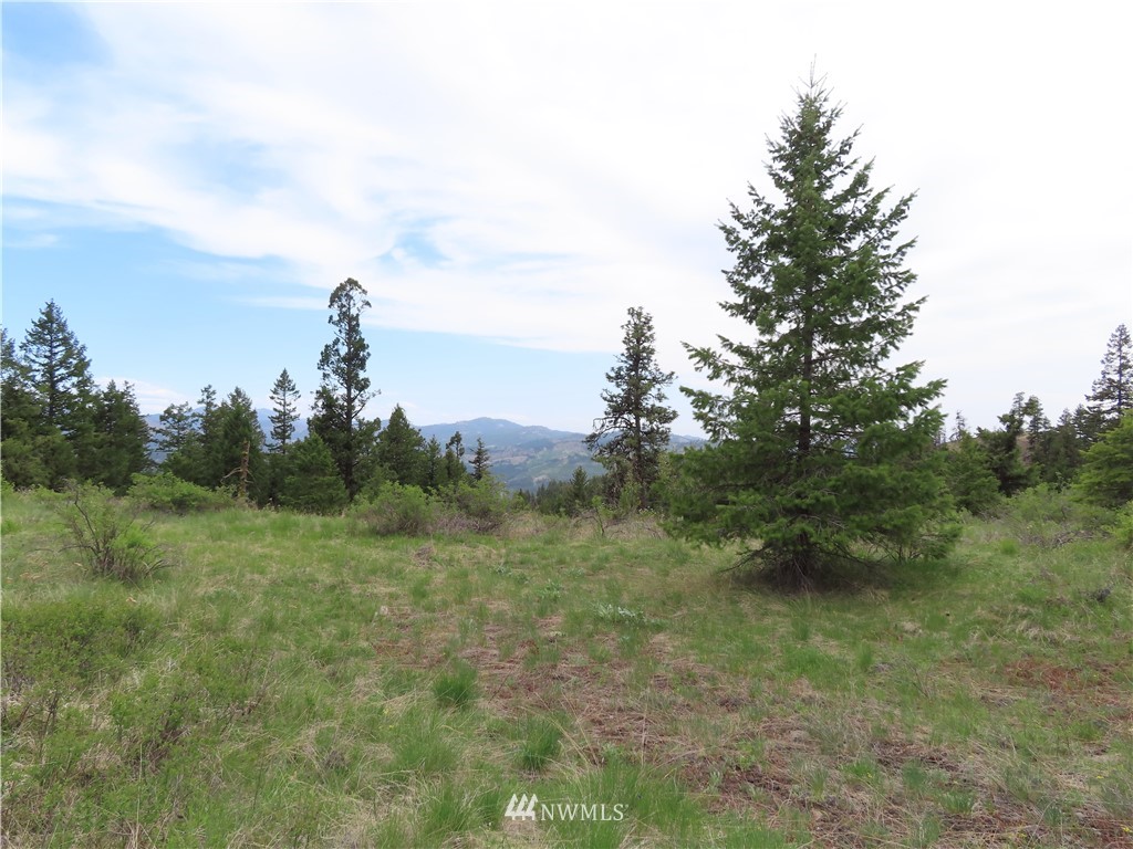 -tbd Tbd Stacy Road Republic, WA 99166 - Photo 20 of 33 a view of a field with trees in the background