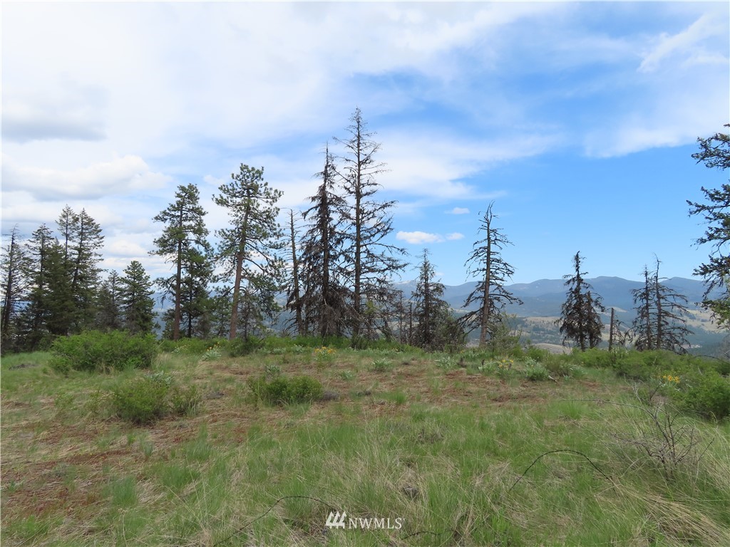 -tbd Tbd Stacy Road Republic, WA 99166 - Photo 3 of 33 a big yard with lots of green space and fog