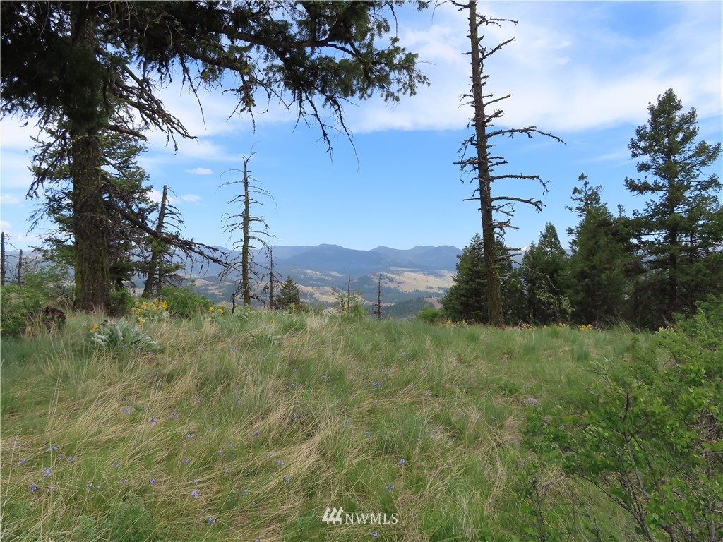 -tbd Tbd Stacy Road Republic, WA 99166 - Photo 22 of 33 a view of a lush green field