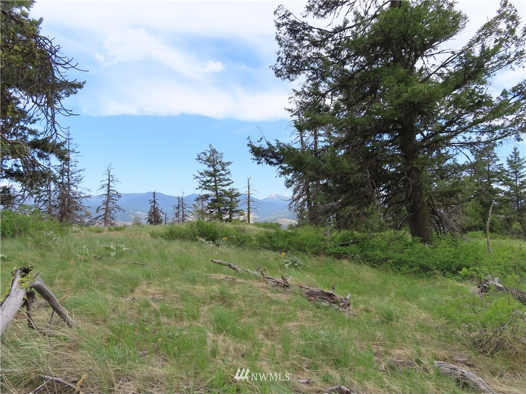 -tbd Tbd Stacy Road Republic, WA 99166 - Photo 28 of 33 a big yard with lots of green space