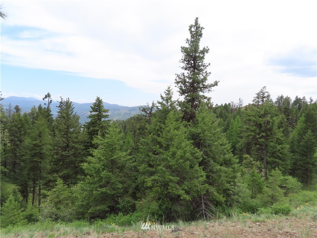 -tbd Tbd Stacy Road Republic, WA 99166 - Photo 29 of 33 a view of a city with lush green forest