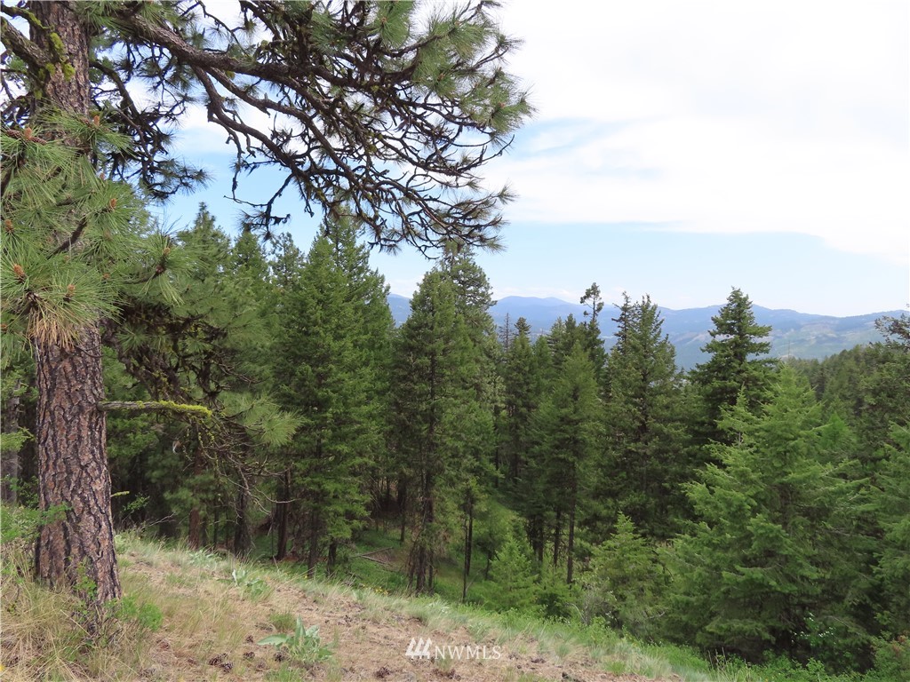 -tbd Tbd Stacy Road Republic, WA 99166 - Photo 4 of 33 a view of a city with lush green forest