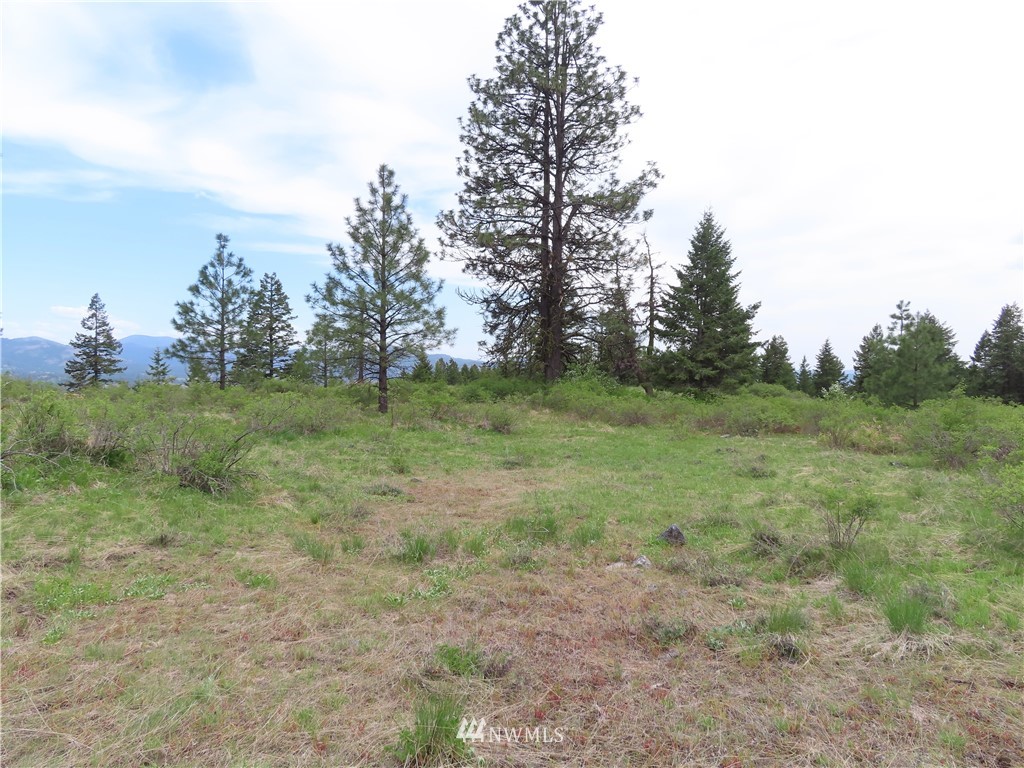 -tbd Tbd Stacy Road Republic, WA 99166 - Photo 9 of 33 a view of a green field with trees in the background