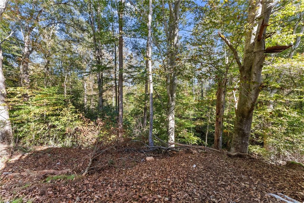 490 Magnolia Grove Place Cornelia, GA 30531 - Photo 22 of 43 a view of a forest with trees