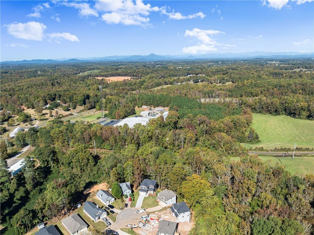 490 Magnolia Grove Place Cornelia, GA 30531 - Photo 42 of 43 a view of a city with an ocean