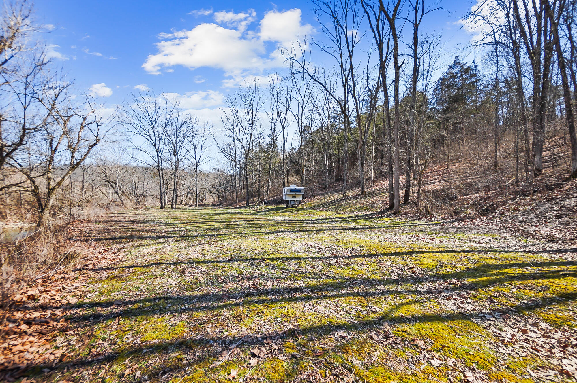 1025 Greenville Road Dry Ridge, KY 41035 - Photo 44 of 50