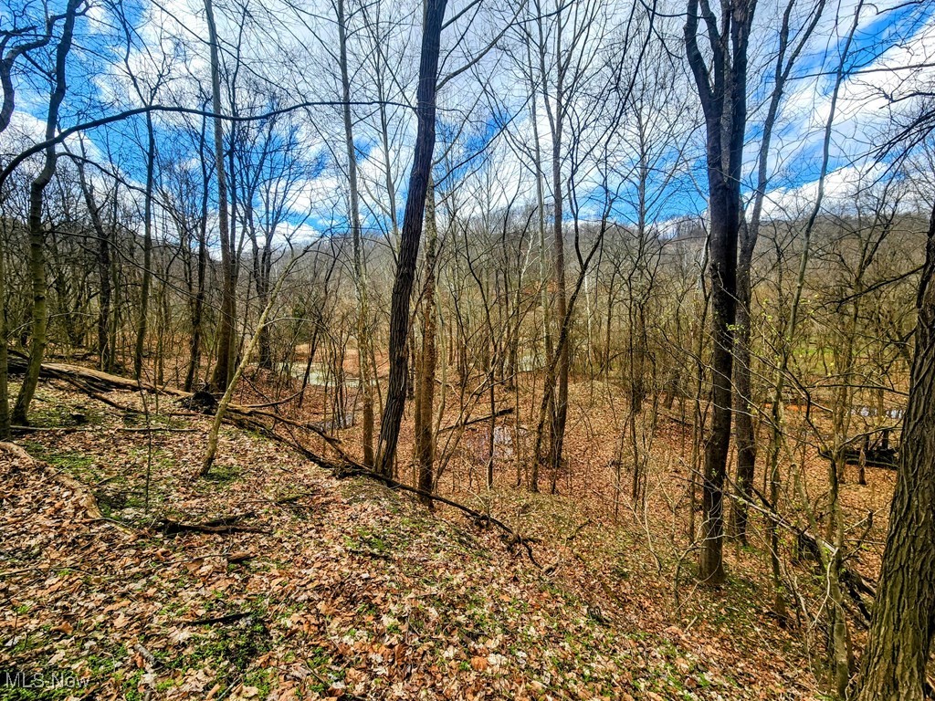 Kings Creek Road New Cumberland, WV 26047 - Photo 17 of 18