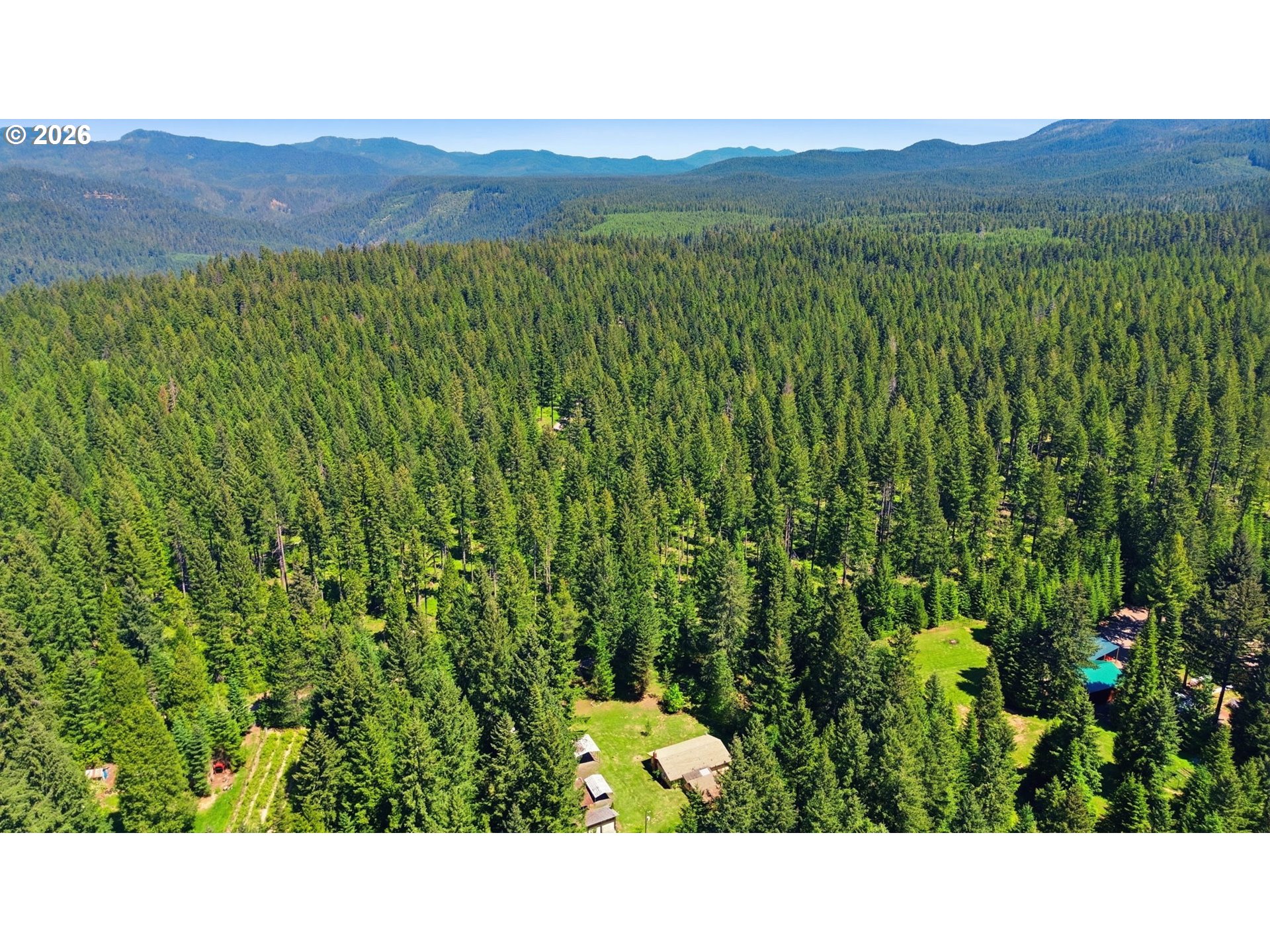 49782 Huckleberry Road Oakridge, OR 97463 - Photo 8 of 21 a open area with mountains in the background