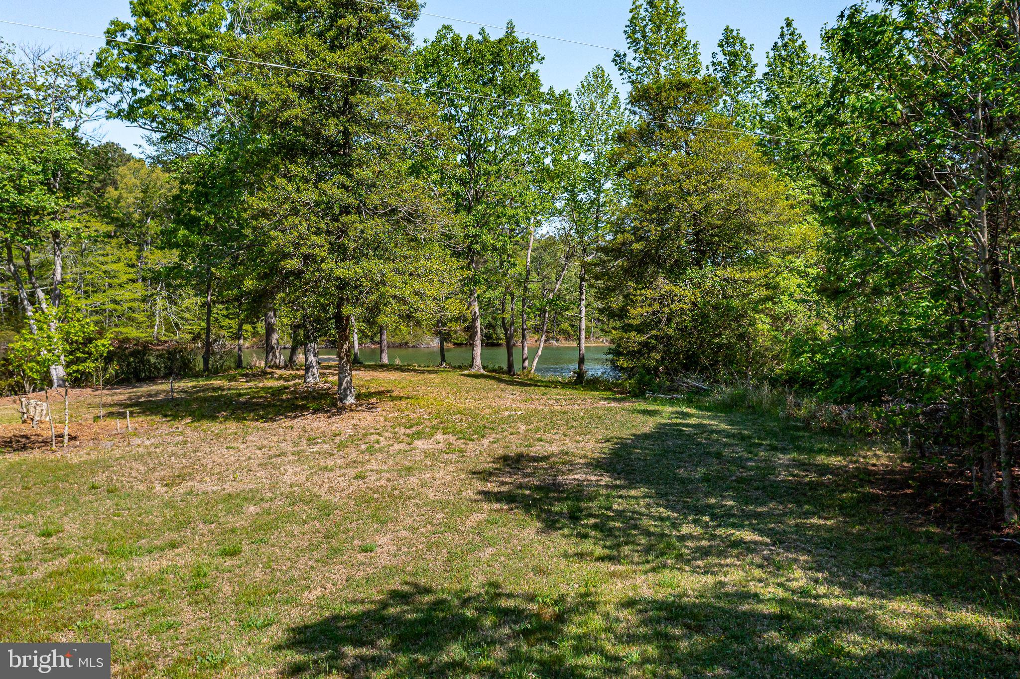 529 Taylors Beach Road Reedville, VA 22539 - Photo 42 of 57 Serene lakeside retreat in nature.